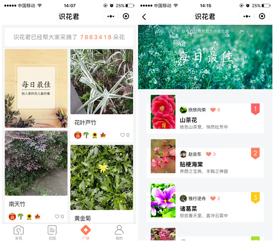 今日春分丨序多多有一份小程序福利包送给你,主题:浪!