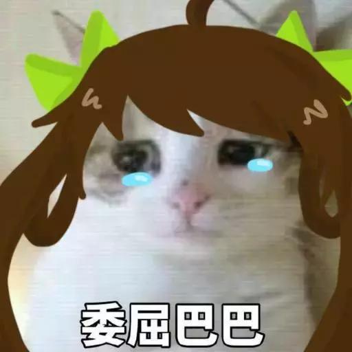 厦门e通卡八折优惠到多久第二次,厦门市民去鼓浪屿能不能刷e通卡