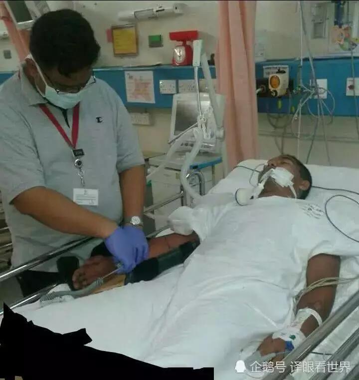 印度一男子跟蛇结婚后续,马来西亚卧室进蛇后续全过程