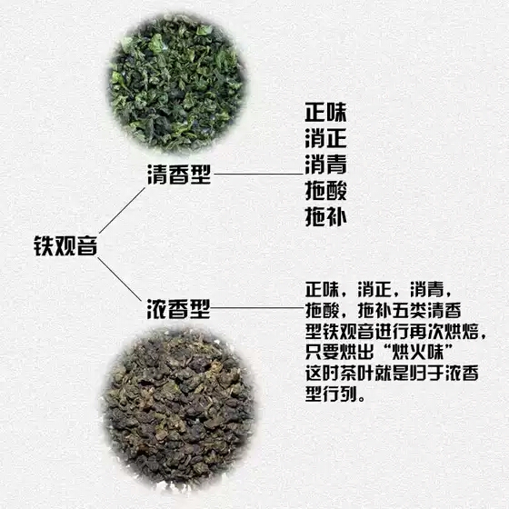 茶的几个误区铁观音,铁观音认知十大误区辨析