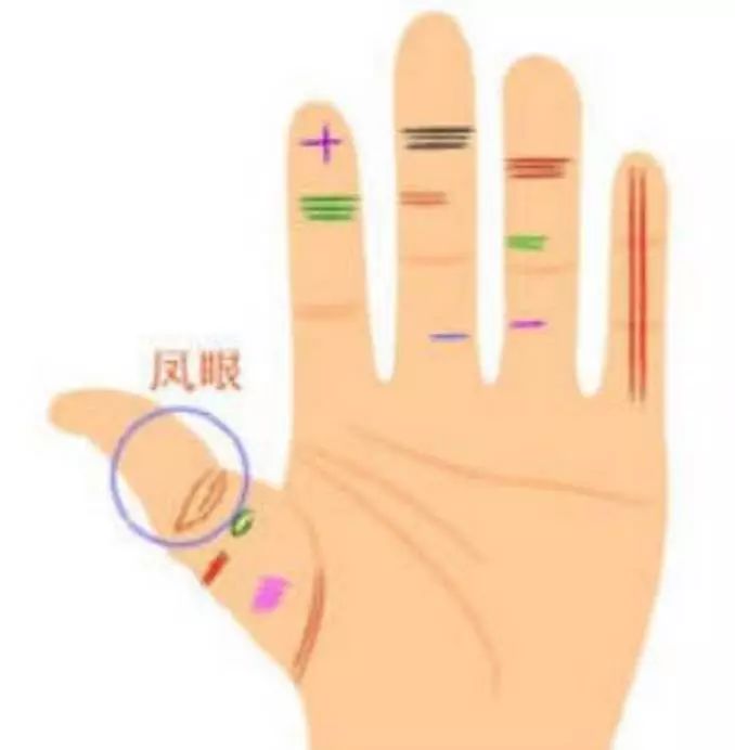 左手握资产右手握税源,左右手掌纹都代表什么运势