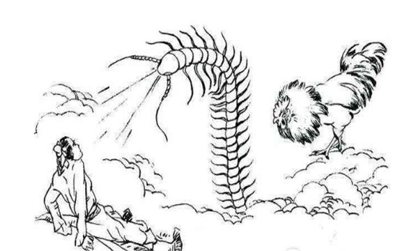 恶人为夺夜明珠,将金鸡“拔毛助长”,雄鸡舍身取义力克蜈蚣精!