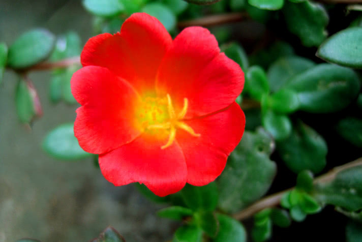 遇到强势不讲理的人怎么应对,遇到得寸进尺的人怎么怼他