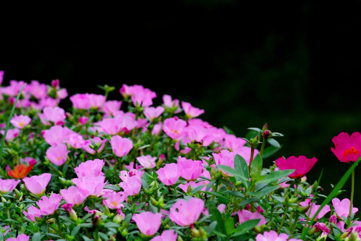 遇到强势不讲理的人怎么应对,遇到得寸进尺的人怎么怼他