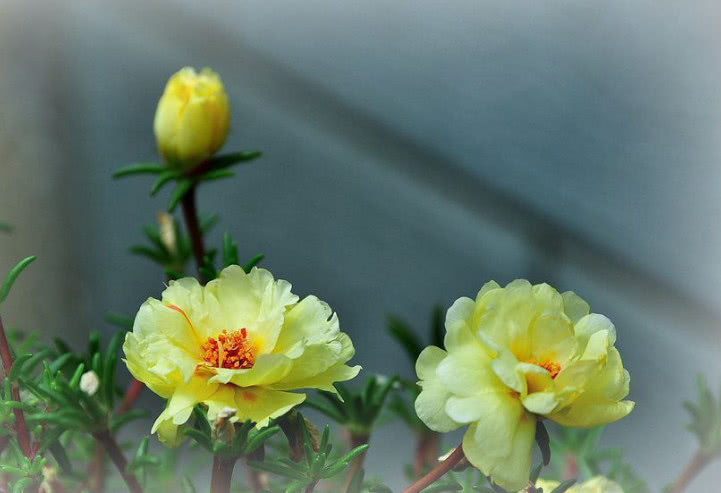 遇到强势不讲理的人怎么应对,遇到得寸进尺的人怎么怼他