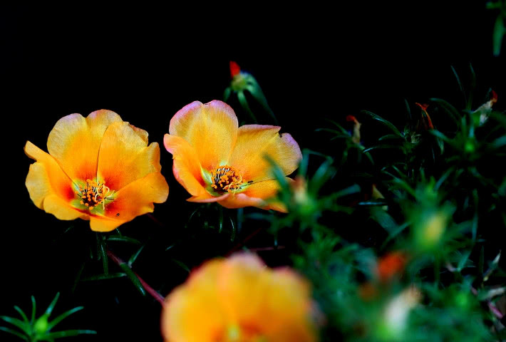 遇到强势不讲理的人怎么应对,遇到得寸进尺的人怎么怼他