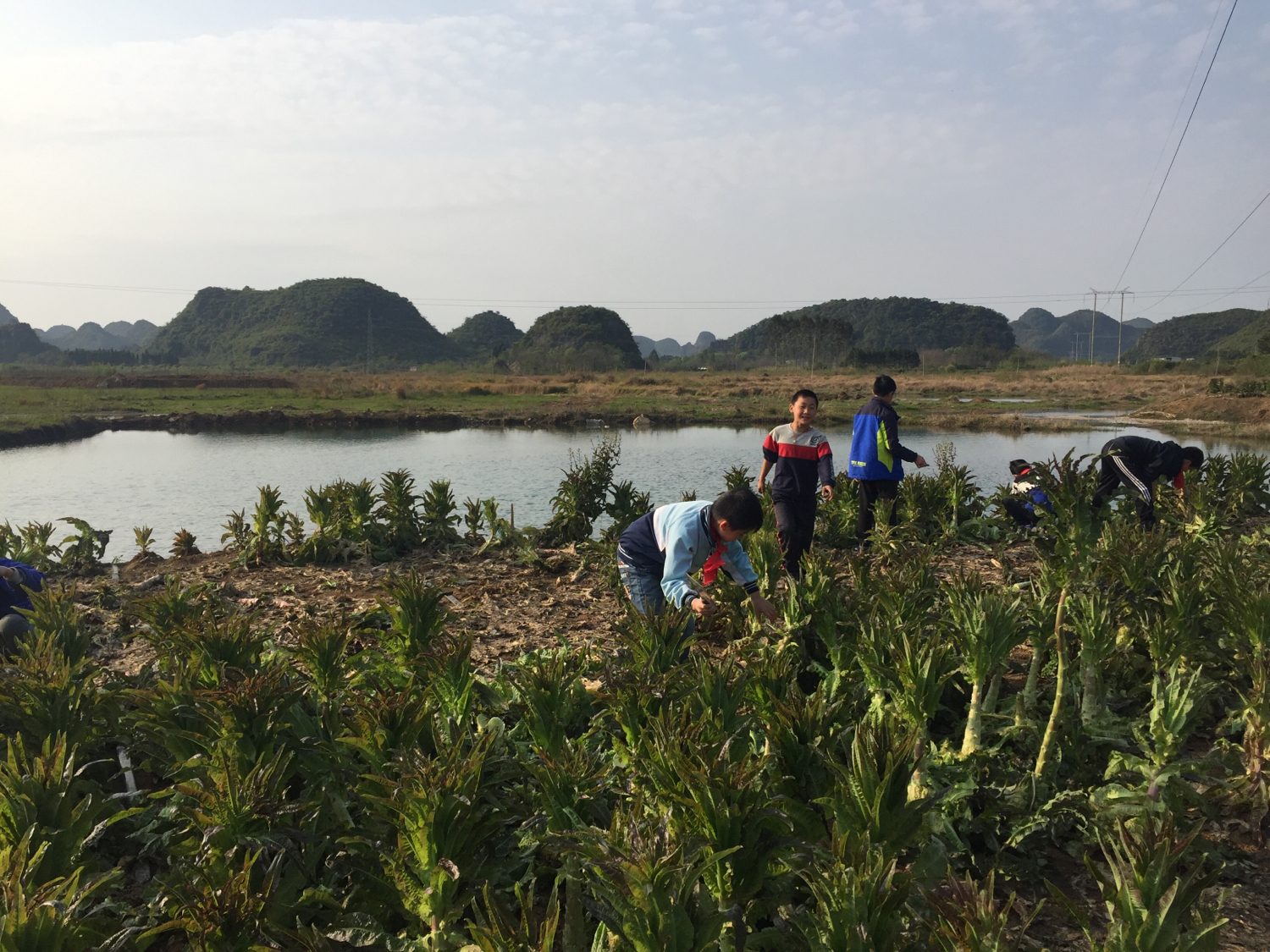 伏羲学校的学生,伏羲小学的理念
