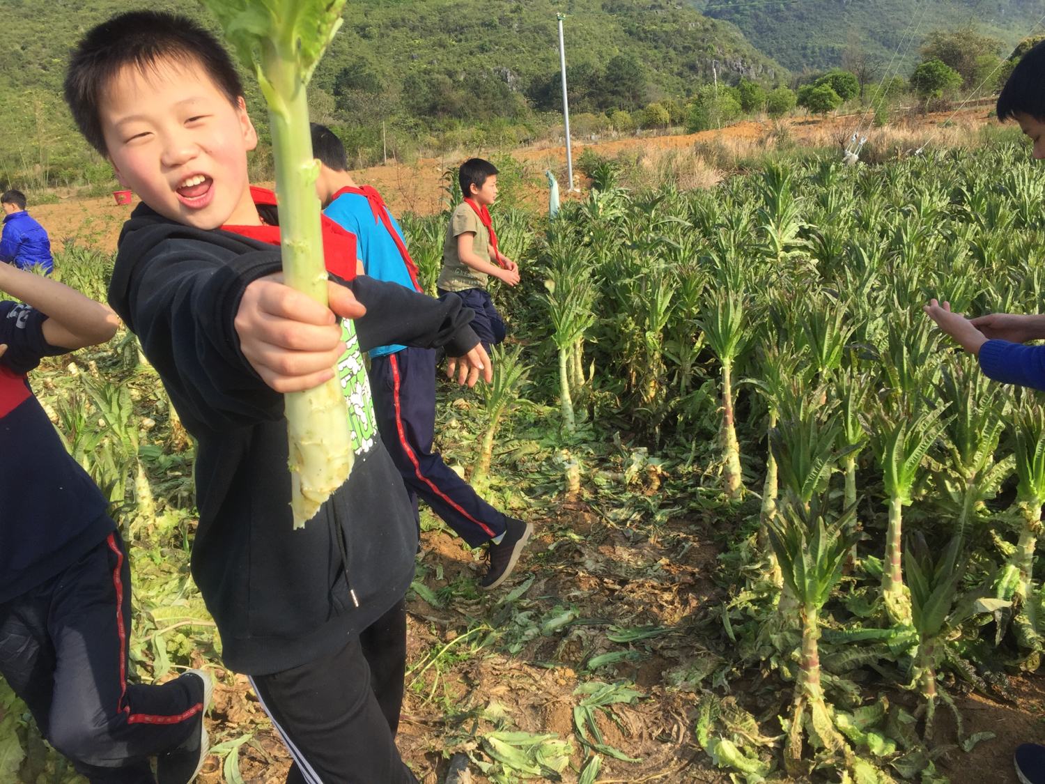 伏羲学校的学生,伏羲小学的理念