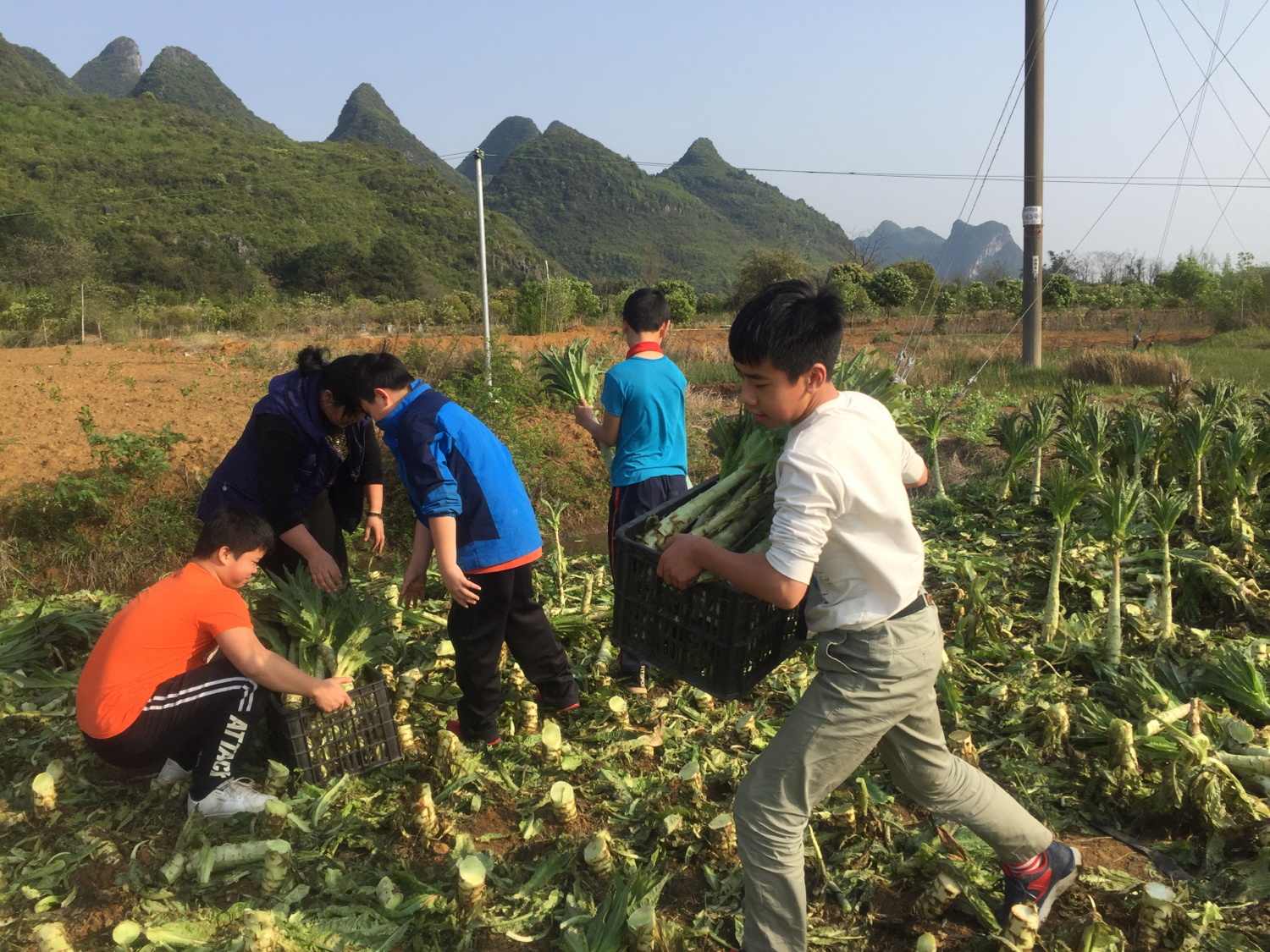 伏羲学校的学生,伏羲小学的理念