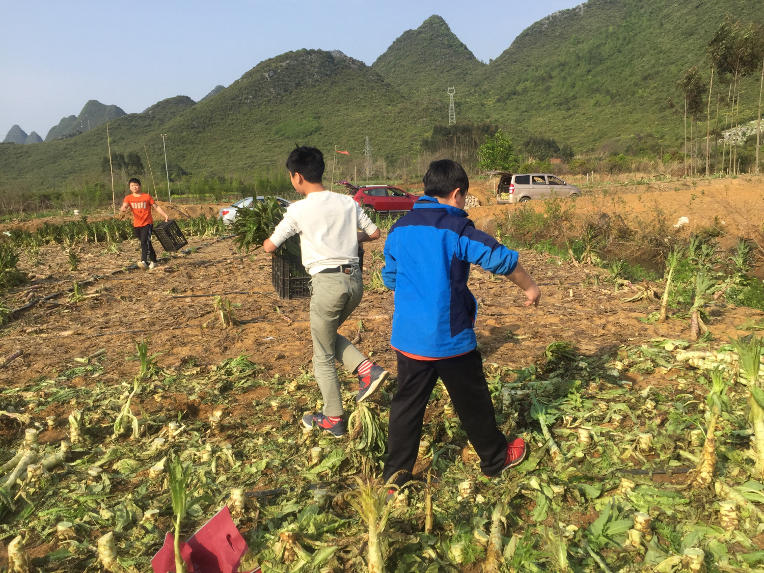 伏羲学校的学生,伏羲小学的理念