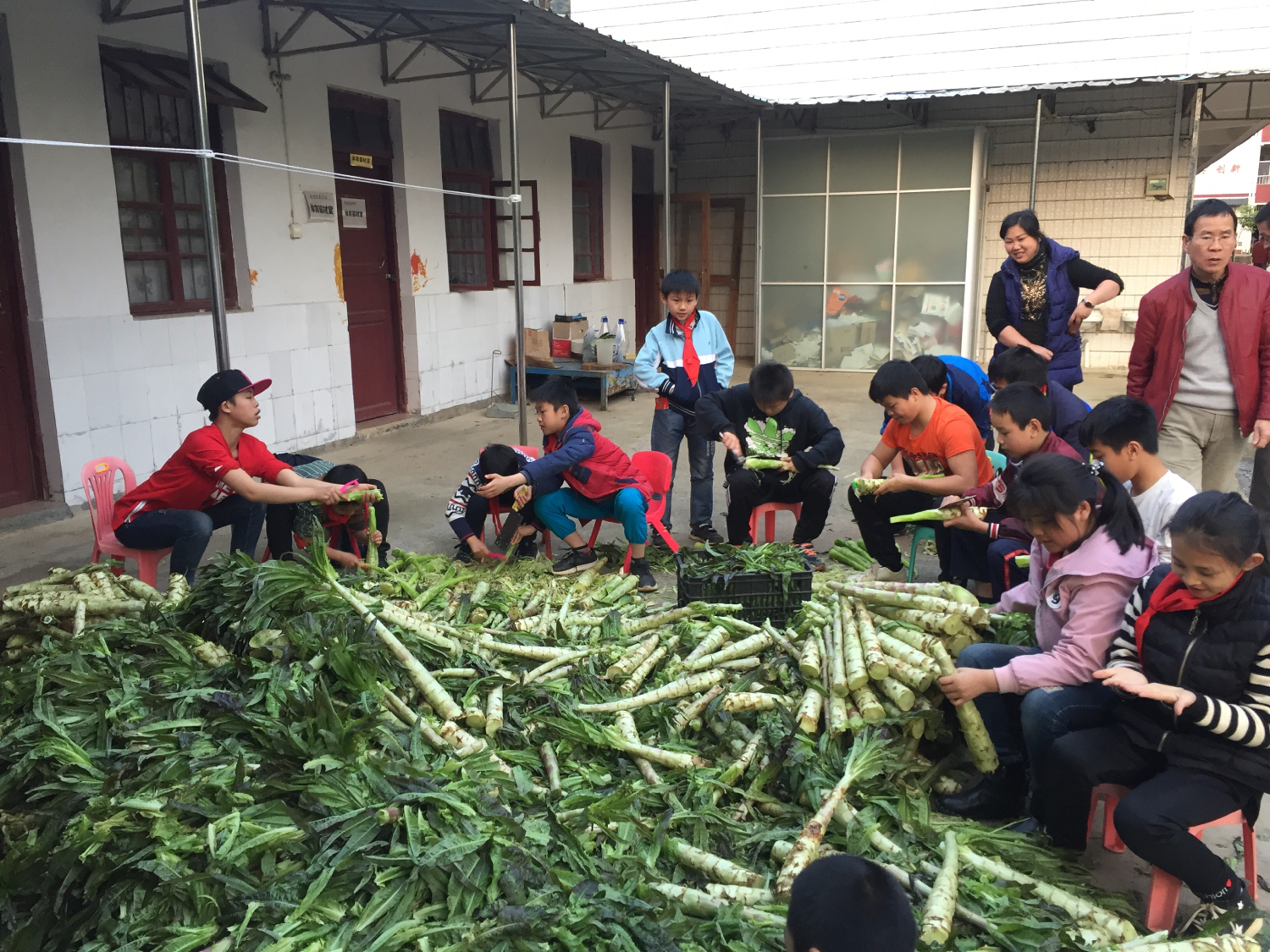 伏羲学校的学生,伏羲小学的理念