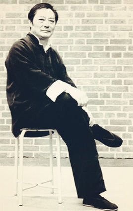 咏春拳一招致命,咏春一招致命的动作