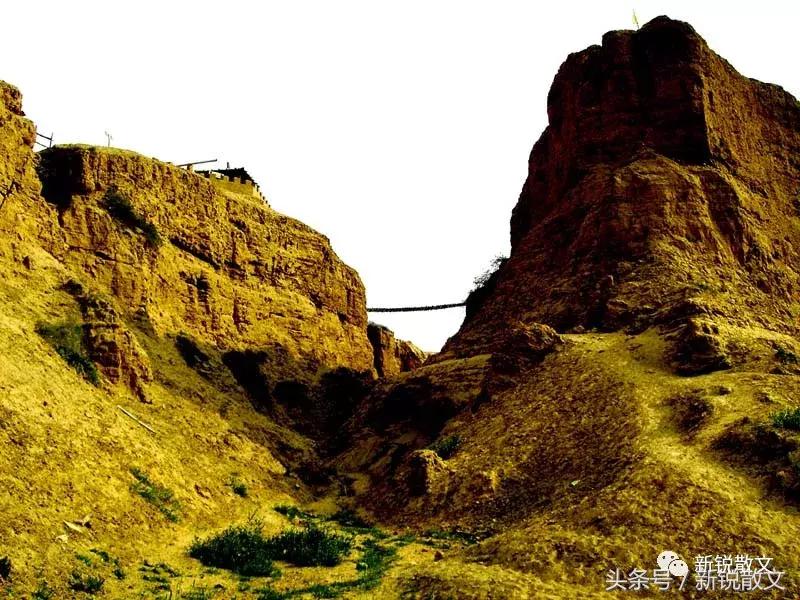 大漠骄阳洗去了兵沟青铜铁器的腥味,露出了它自然的本色