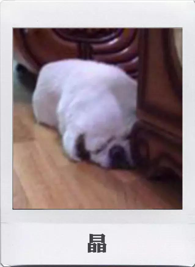 娃不吃奶瓶在线等的那位亲妈，快来收大招