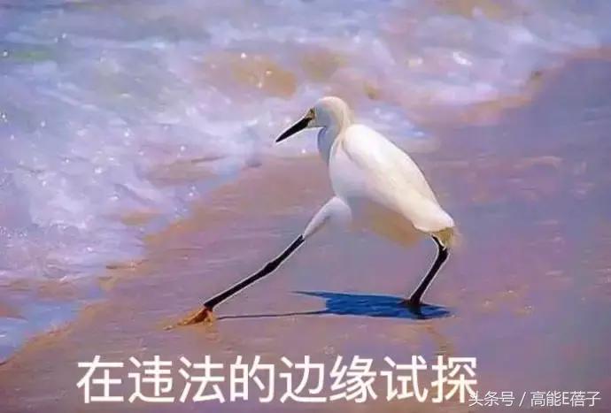 高圆圆牙齿美白,高圆圆40岁美白秘诀