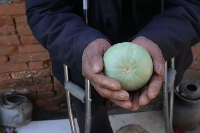 身残志坚的爷爷,身残志坚拄拐杖致富