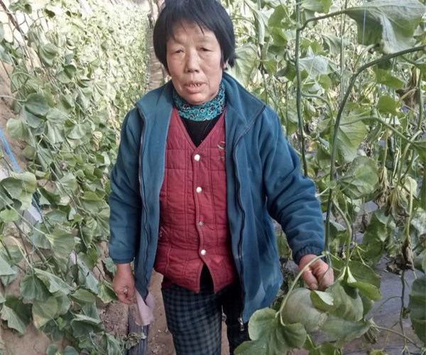 身残志坚的爷爷,身残志坚拄拐杖致富