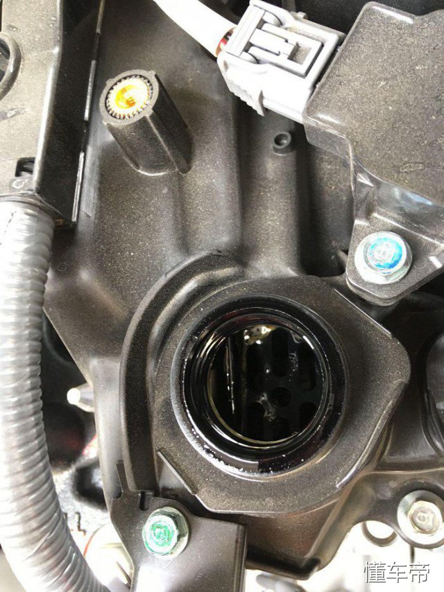 全面沦陷原创,全面沦陷分析