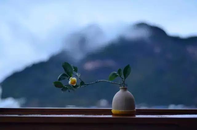 北京小央美国学未来馆,为爱前行,全国开放加盟~