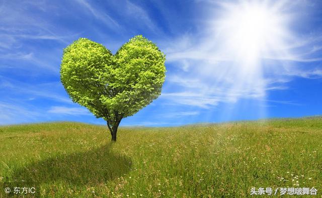 民生百夫长运通白金卡权益,民生银行百夫长白金卡推荐