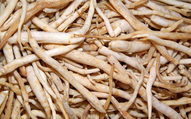 每个月份适合种植什么中药材,中药材种植九月份可种的中药材