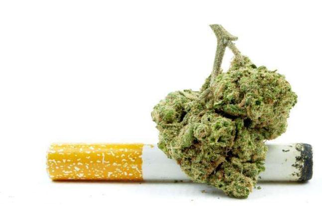 麻椒果泡酒的功效与作用,野生山大麻子泡酒功效