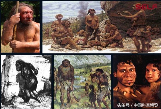 从非洲一路啪啪到东亚，我们祖先的混血史到底有多乱？