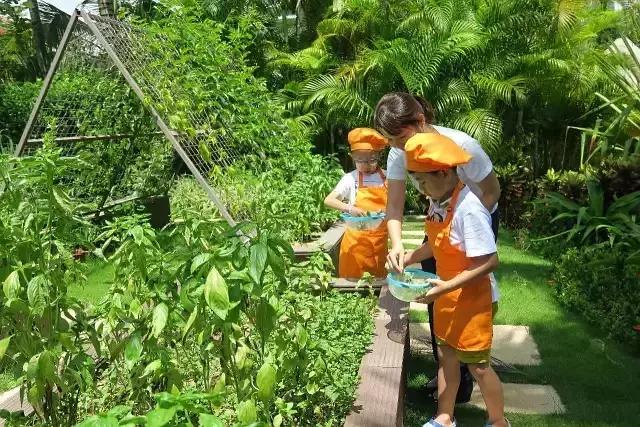 在海棠湾可以送哪些礼物,三亚值得给孩子带的礼物