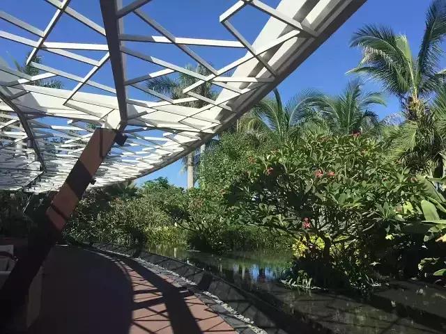 在海棠湾可以送哪些礼物,三亚值得给孩子带的礼物