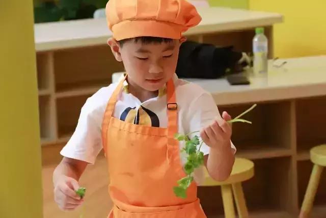 在海棠湾可以送哪些礼物,三亚值得给孩子带的礼物