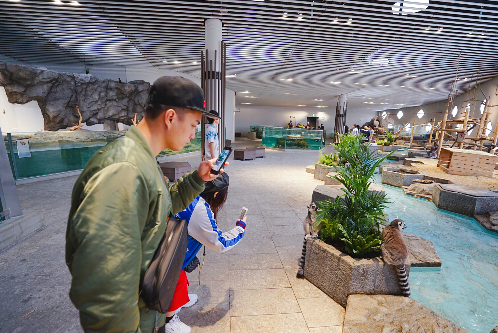 日本大阪之旅感受,日本自由行大阪游记