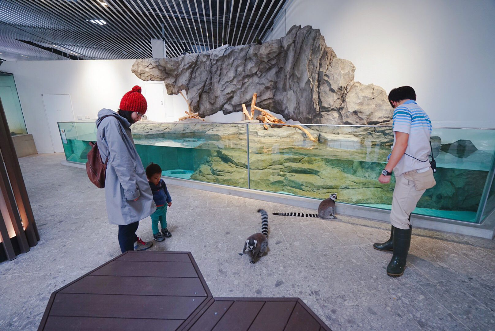 日本大阪之旅感受,日本自由行大阪游记