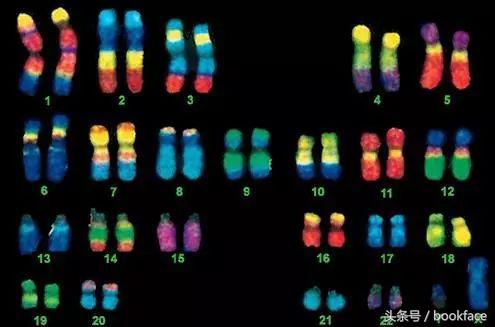 又不用喂奶，男人为什么要长乳头？