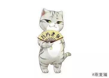 盘点常见的猫咪名字看有你家猫吗,猫咪名称大盘点