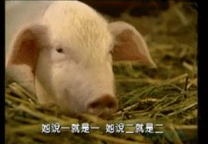 春光灿烂猪八戒系列哪一个最火,春光灿烂猪八戒饰演今昔对比