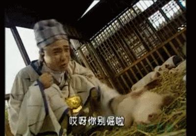 春光灿烂猪八戒系列哪一个最火,春光灿烂猪八戒饰演今昔对比