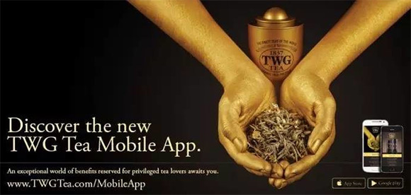 twg茶在中国开了多少店,茶品牌颠覆传统
