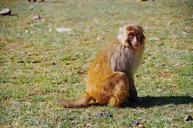旅行第一站达古冰川,达古冰川游记攻略