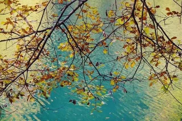 旅行第一站达古冰川,达古冰川游记攻略