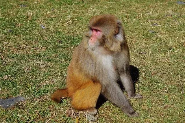 旅行第一站达古冰川,达古冰川游记攻略