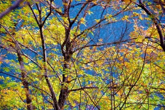 旅行第一站达古冰川,达古冰川游记攻略