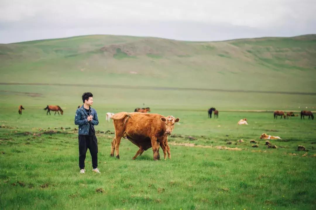 追星旅游记,追星大环线日记