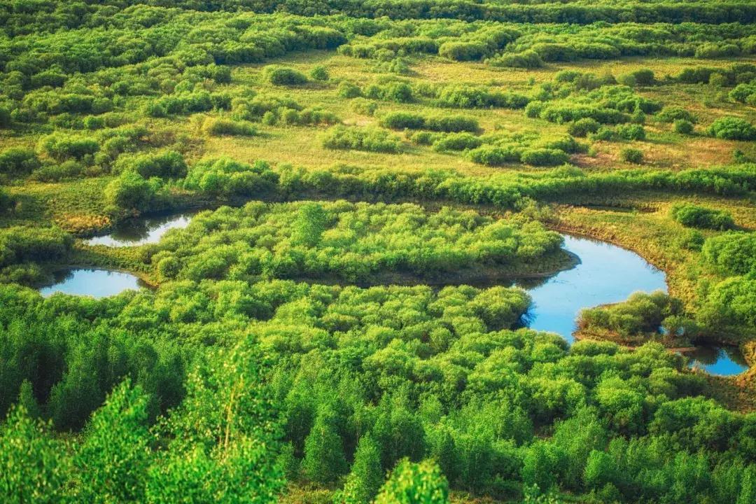 追星旅游记,追星大环线日记