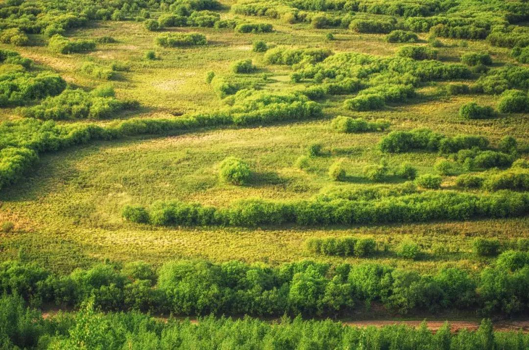 追星旅游记,追星大环线日记