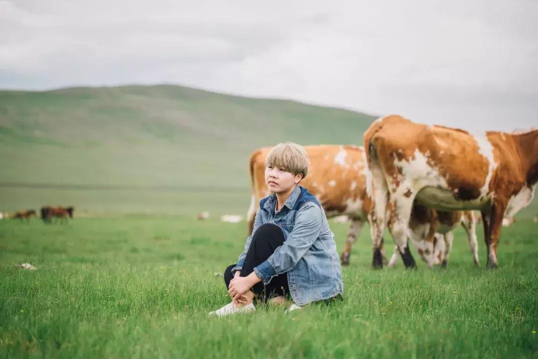 追星旅游记,追星大环线日记