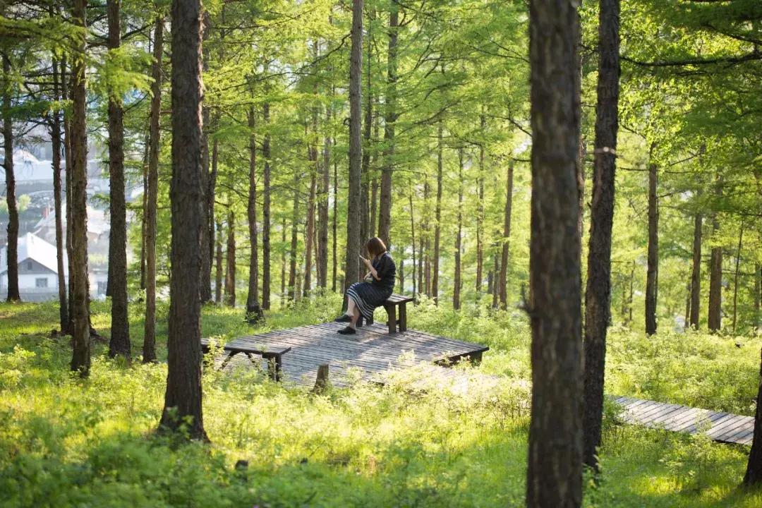 追星旅游记,追星大环线日记