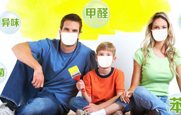 装修后如何除甲醛用什么植物,新房装修后去甲醛的植物有哪些