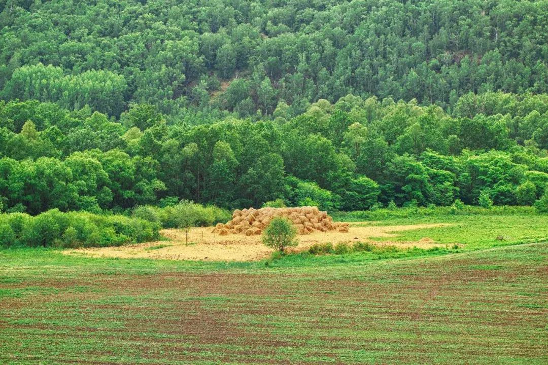追星旅游记,追星大环线日记