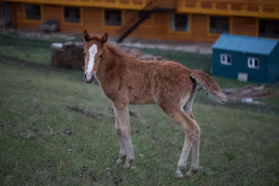 追星旅游记,追星大环线日记