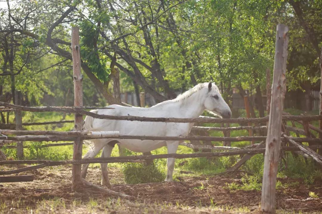 追星旅游记,追星大环线日记